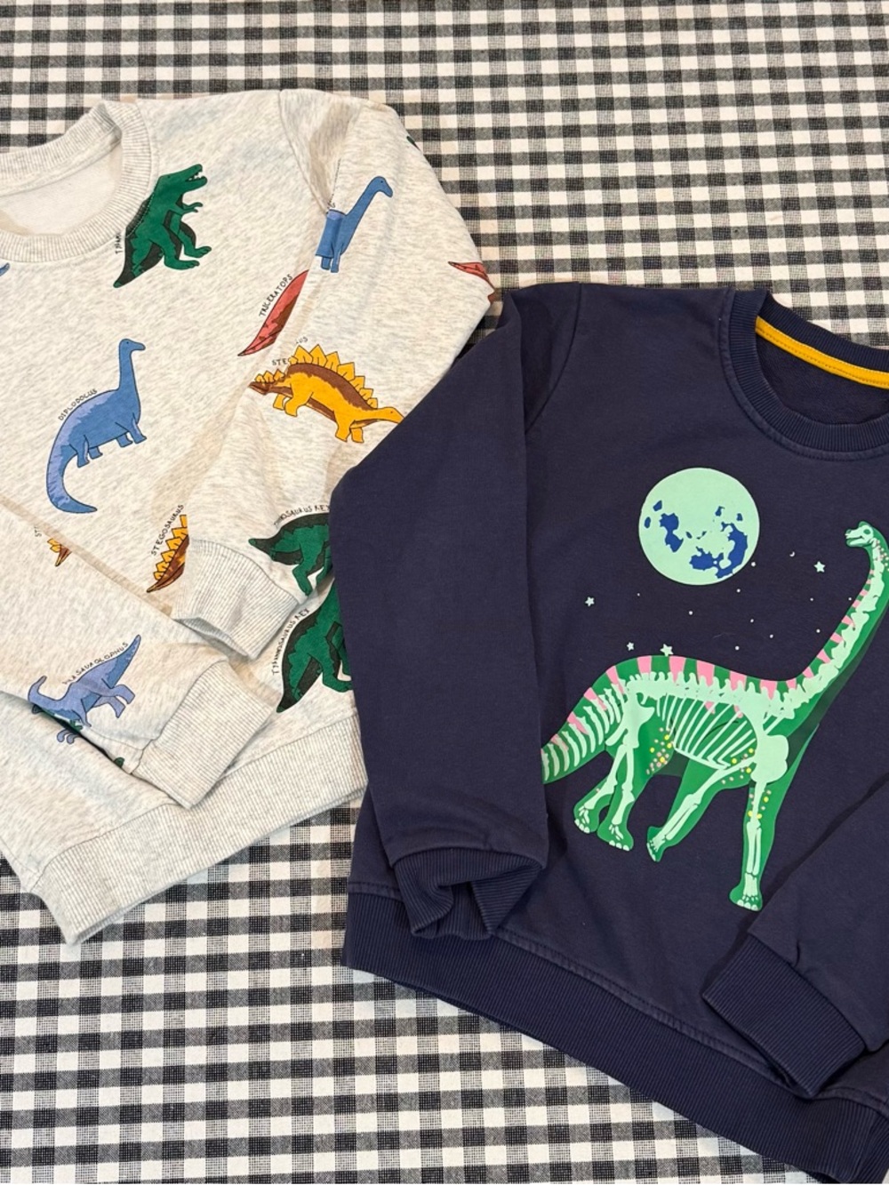 Kids Dinosaur Sweatshirt Bundle size 5